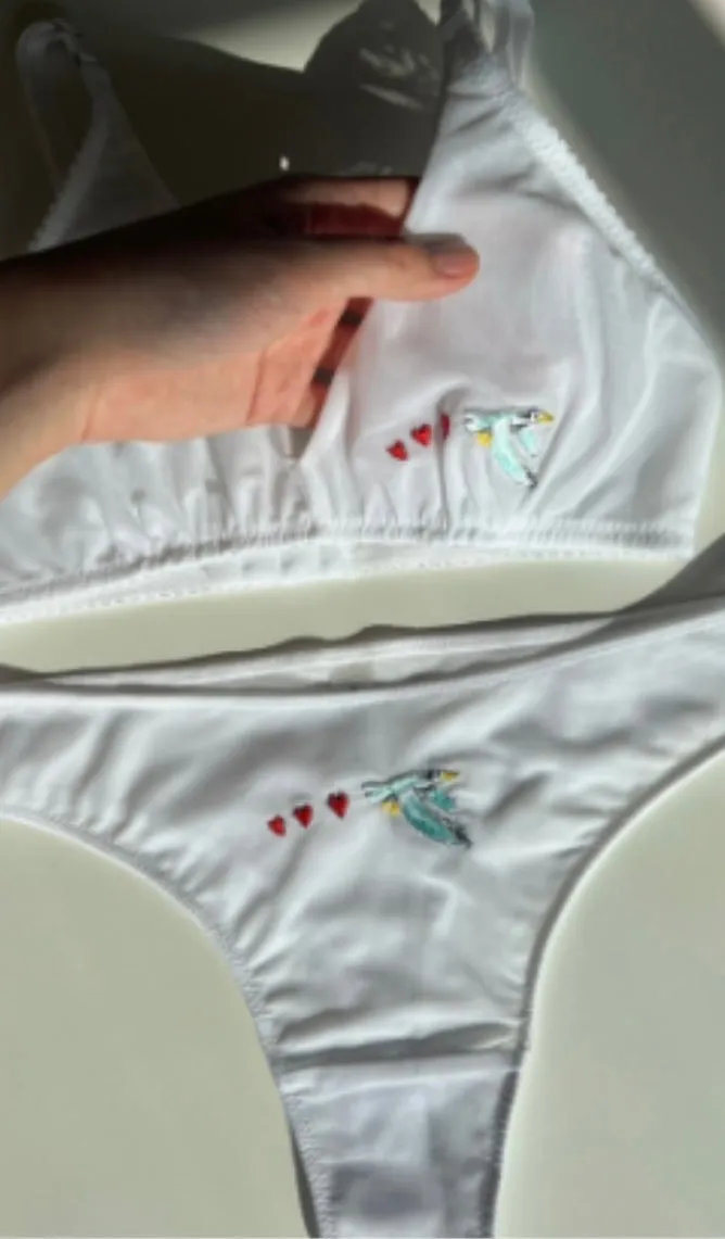 LOVE AND SWANS~ Mesh thong w bird/heart embroidery